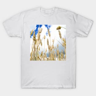 Wheat T-Shirt